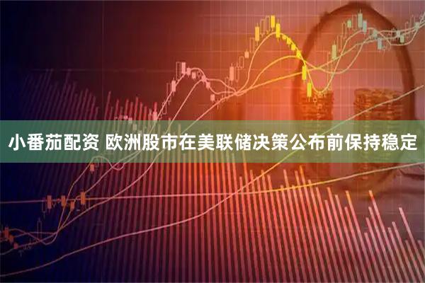 小番茄配资 欧洲股市在美联储决策公布前保持稳定