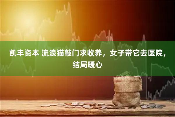 凯丰资本 流浪猫敲门求收养，女子带它去医院，结局暖心