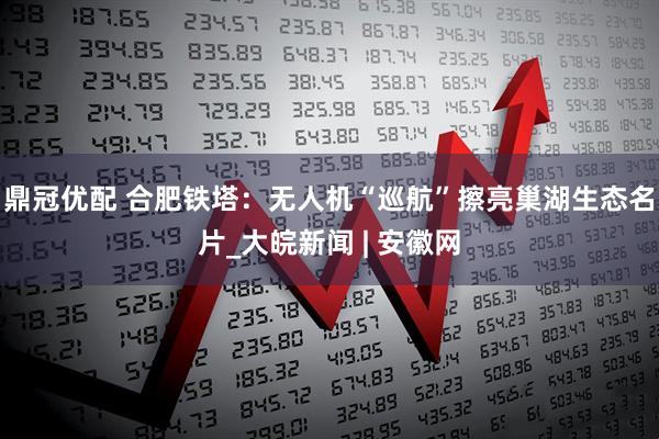 鼎冠优配 合肥铁塔：无人机“巡航”擦亮巢湖生态名片_大皖新闻 | 安徽网