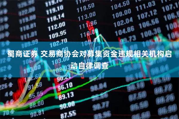 蜀商证券 交易商协会对募集资金违规相关机构启动自律调查