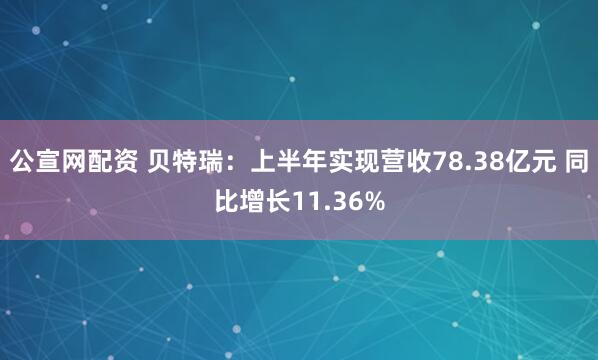 公宣网配资 贝特瑞：上半年实现营收78.38亿元 同比增长11.36%