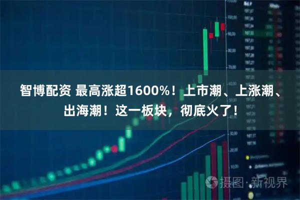 智博配资 最高涨超1600%！上市潮、上涨潮、出海潮！这一板块，彻底火了！