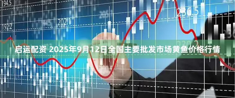 启运配资 2025年9月12日全国主要批发市场黄鱼价格行情