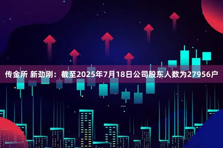 传金所 新劲刚：截至2025年7月18日公司股东人数为27956户
