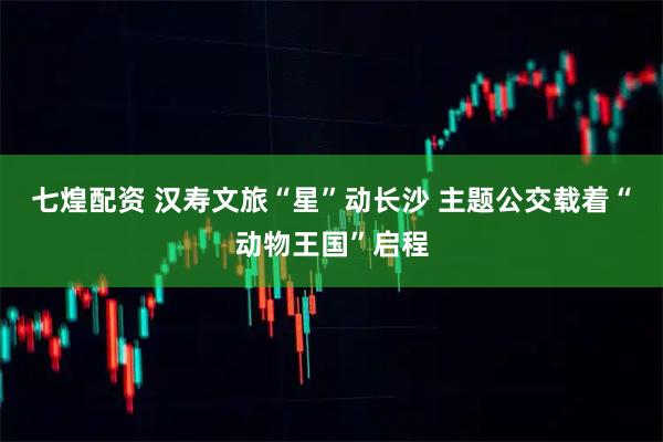 七煌配资 汉寿文旅“星”动长沙 主题公交载着“动物王国”启程